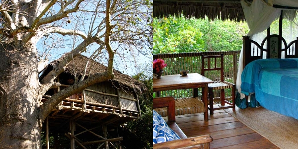 Chole Mjini treehouse room