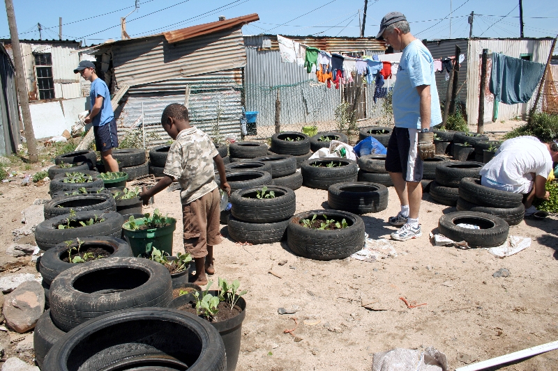 Recycled old car tyres can make a great container garden.