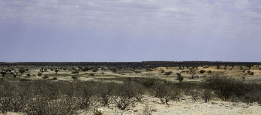Kgalagadi-Big-Skies-1024x455