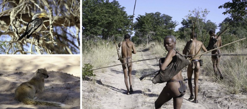 Kgalagadi-Bushmen-in-Nature-1024x455