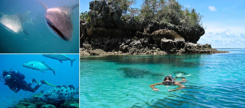 2 Chole-Mjini-Marine-Reserve-Snorkelling-Diving