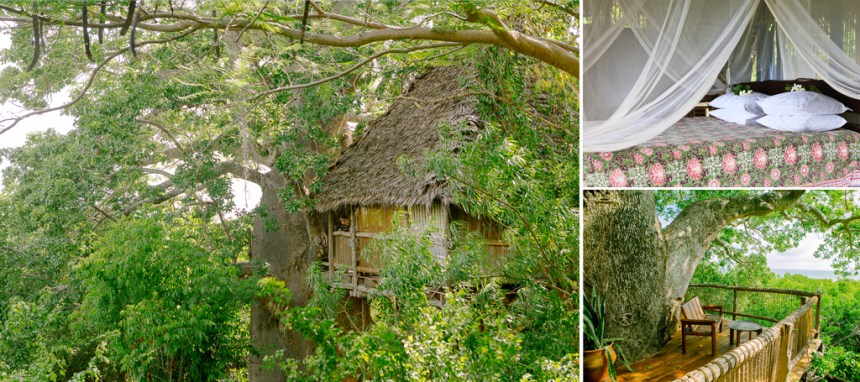 3 Chole-Mjini-Treehouse-Accomodation-Eco-Lodge