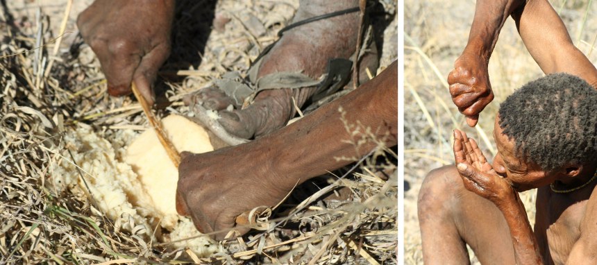 San people Nhoma Safari Camp Namibia Finding Water