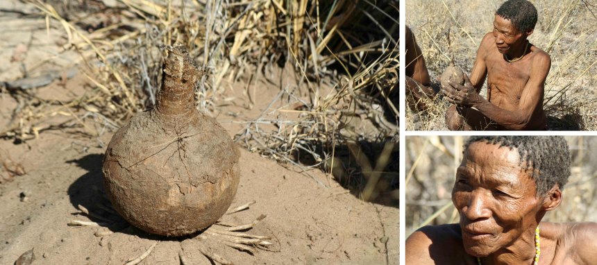 San people Nhoma Safari Camp Namibia water calabash