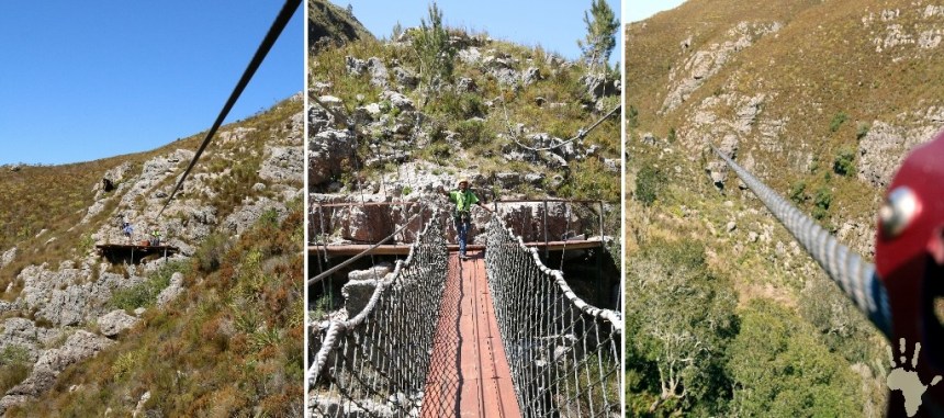 Cape Canopy Tour Cables platforms swing bridge