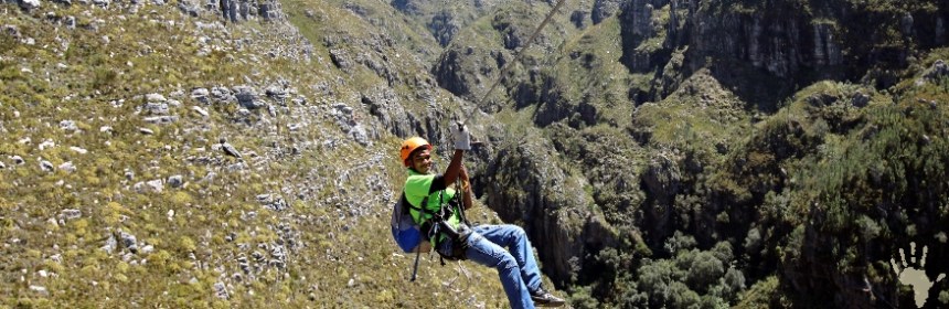 Cape Canopy Tour Elgin