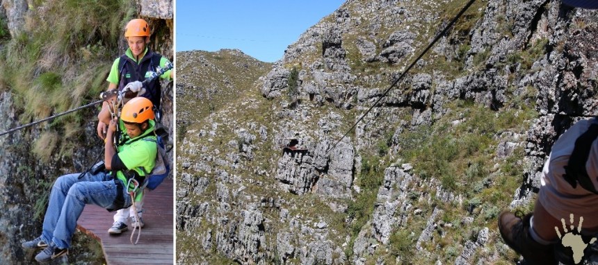 Cape Canopy tour free flying Elgin