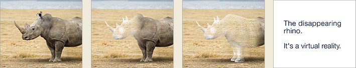 Investec Rhino Lifeline