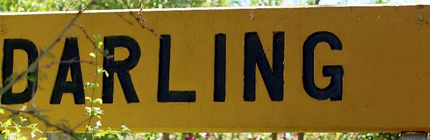 Darling outside the flower season