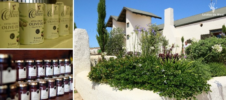 Olive tasting at Darling Olives, Alexanderfontein Farm