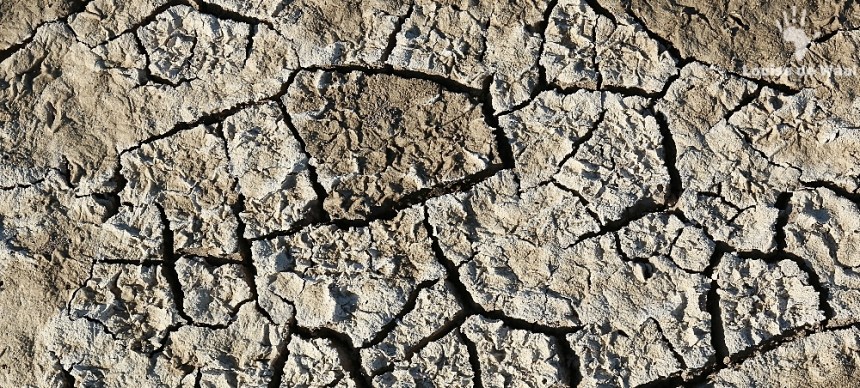 Bone dry soil as result of drought