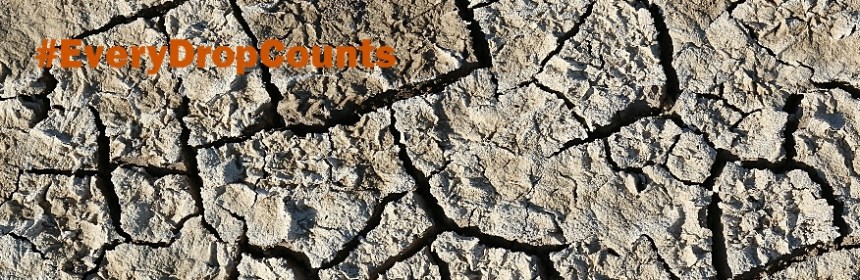 Water saving tips #EveryDropCounts