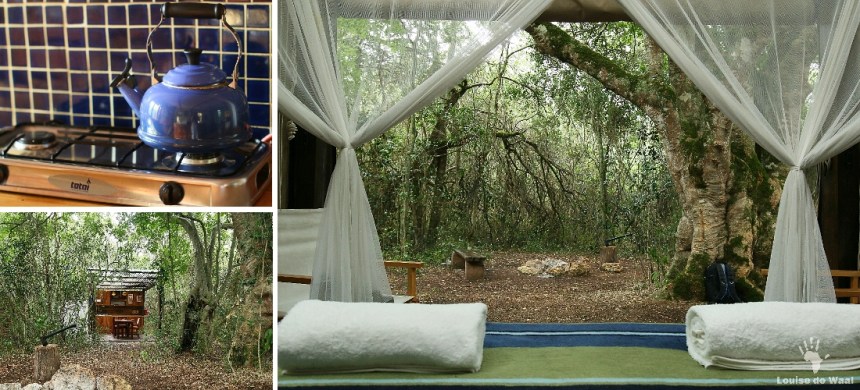 Platbos Forest Reserve Honey Bee Suite