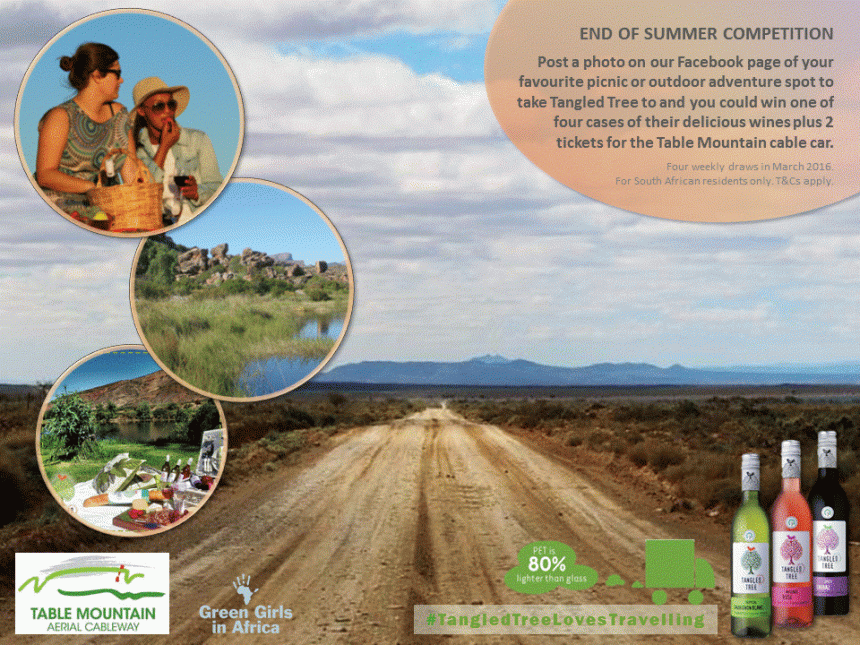 Tangled Tree competition