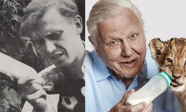 Sir David Attenborough on the front of the Radio Time in 1956 and 2016.