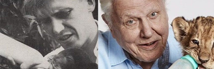 David Attenborough On front page of the Radio Times 1956 and 2016