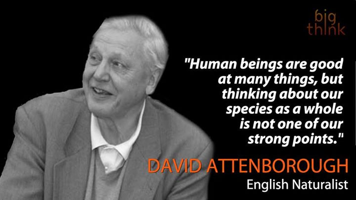Sir David Attenborough quote