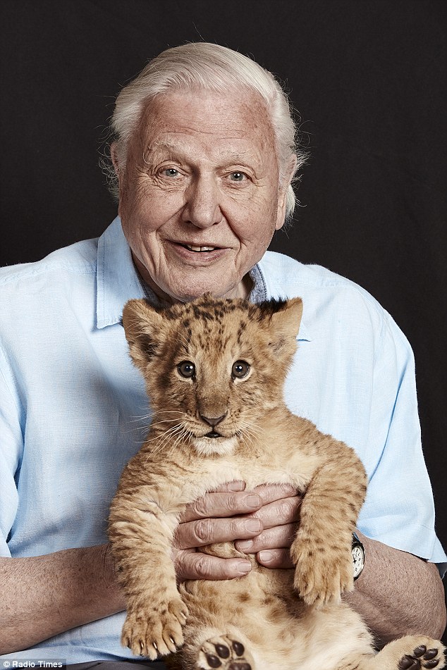 Sir David Attenborough holding a lion cub