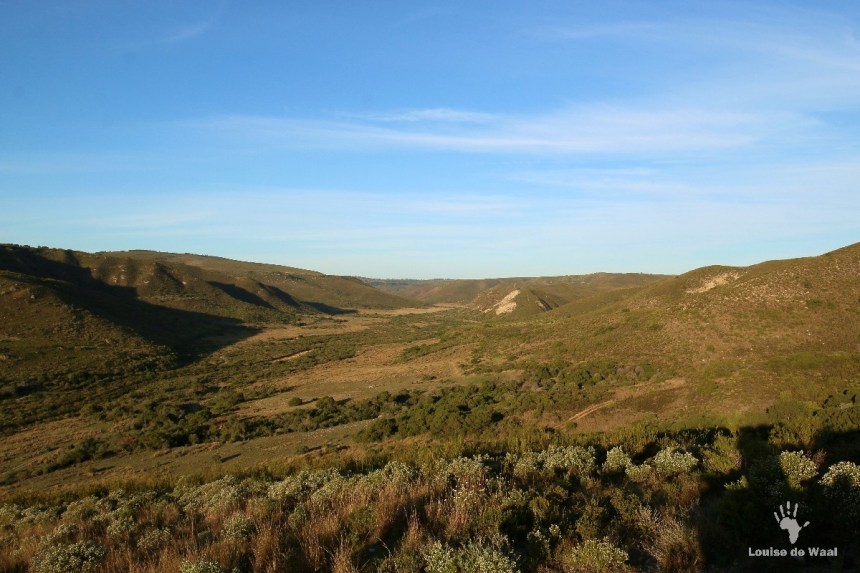 Gondwana Big Five Game Reserve near Mosselbay on the Garden Route.