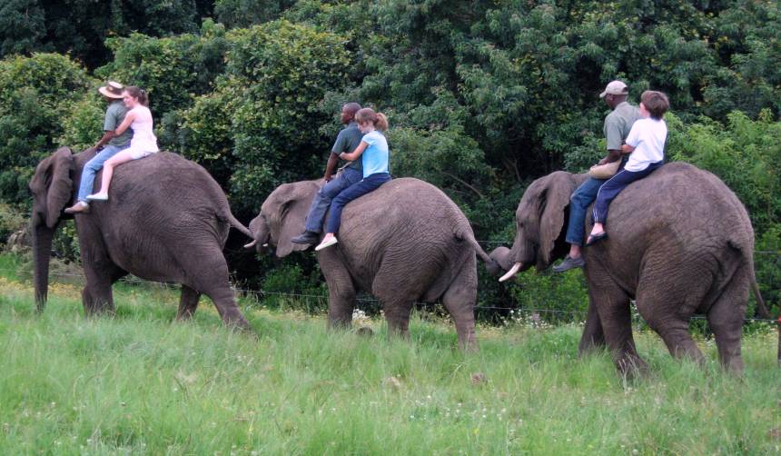 elephant-riding-elephant-sanctuary