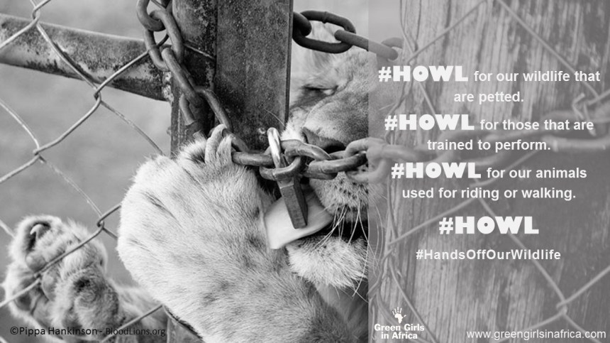 #HandsOffOurWildlife campaign