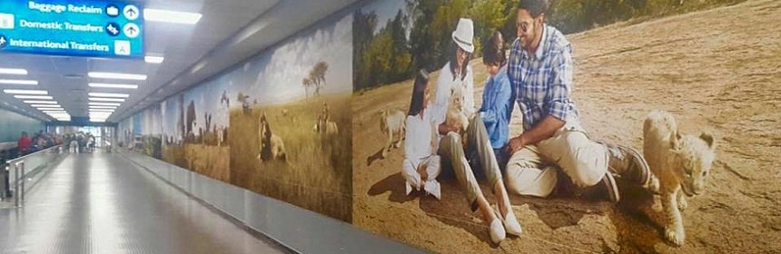 Lion cub petting promoted at OR Tambo airport
