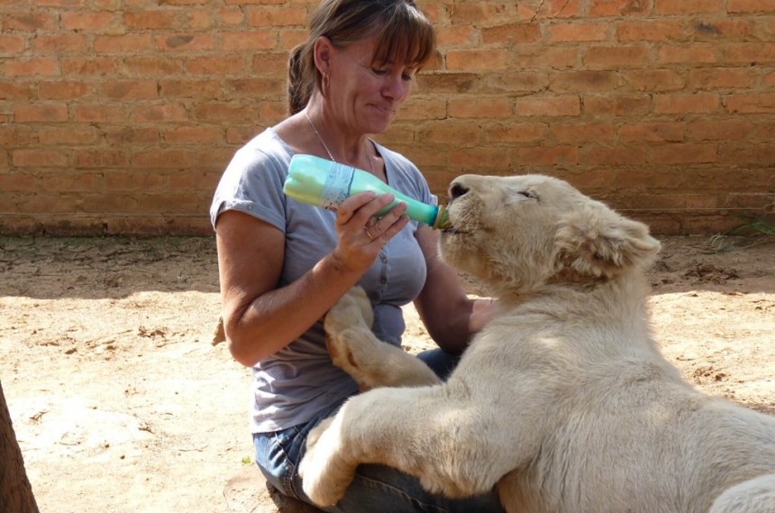 28.-Anonymous-1024x768