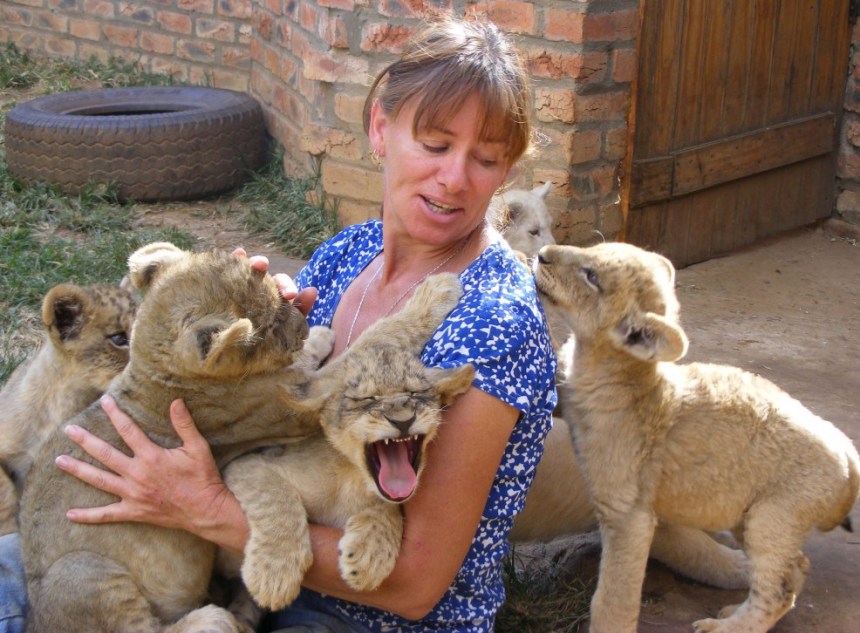 lion-cub-petting.jpg