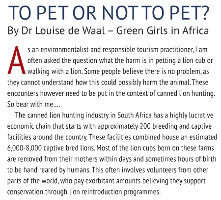 To Pet or not to pet 1