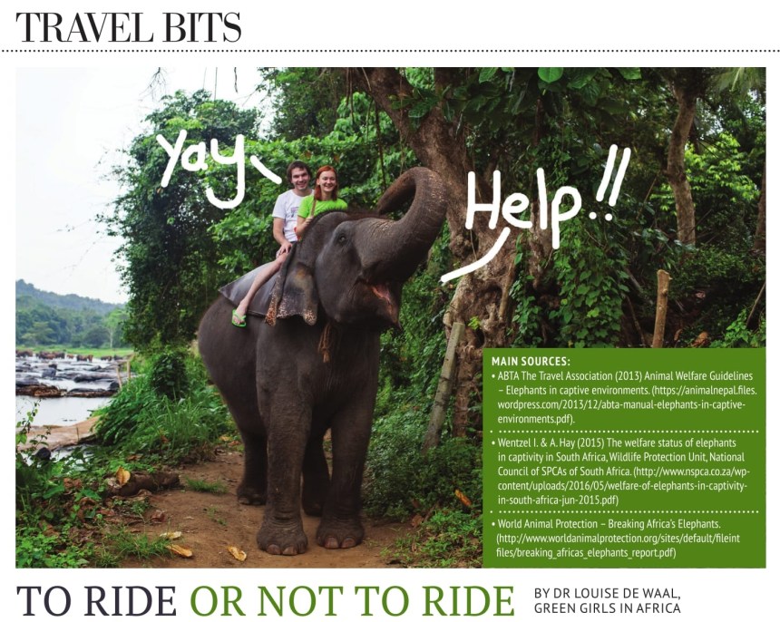 To ride or not to ride 1