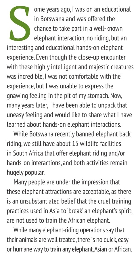 To ride or not to ride 2