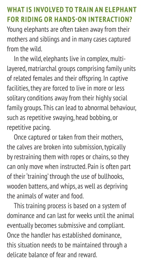 To ride or not to ride 3