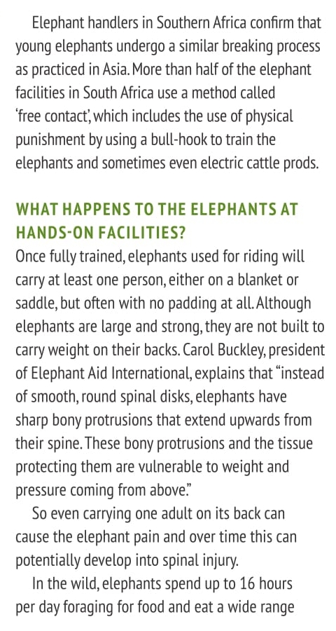 To ride or not to ride 4