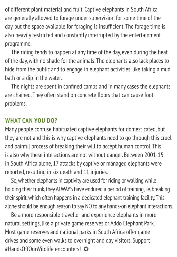 To ride or not to ride 5