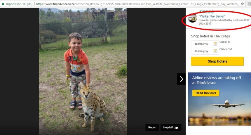 Tenikwa interaction 2