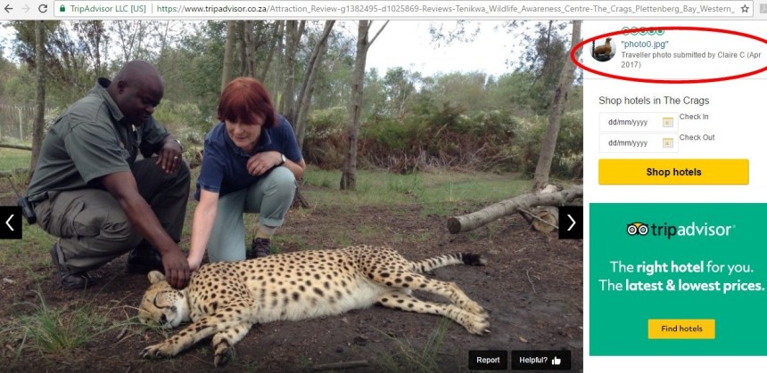 Tenikwa interaction 3