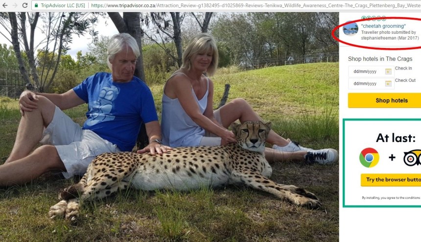 Tenikwa interaction 4