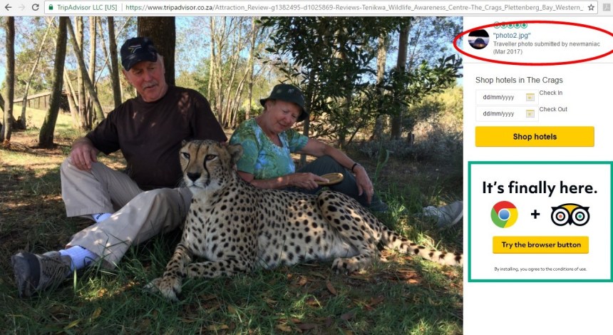 Tenikwa interaction 6