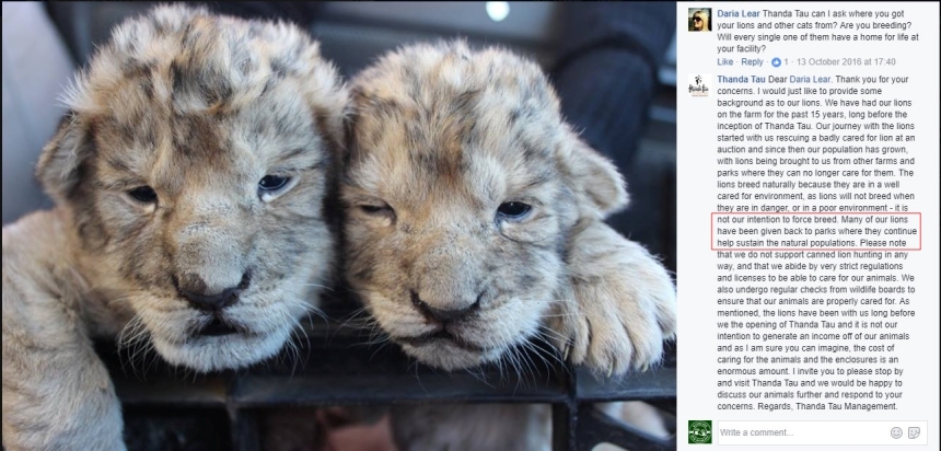 Thanda Tau lion cub Facebook statement Oct 2016 Twitter