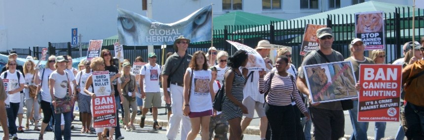 Lion March Cape Town 2014