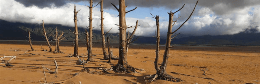 Cape Town drought