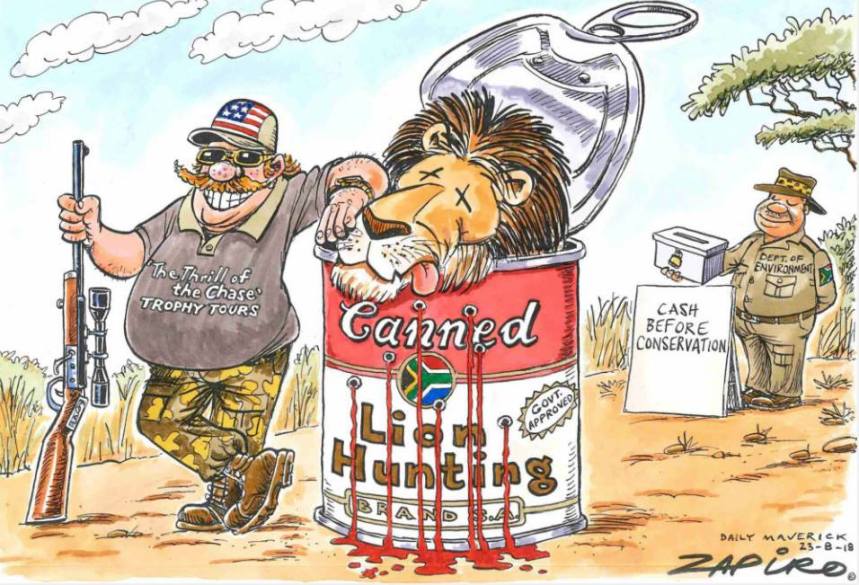 39976721_10155497631357414_4909663393360642048_n