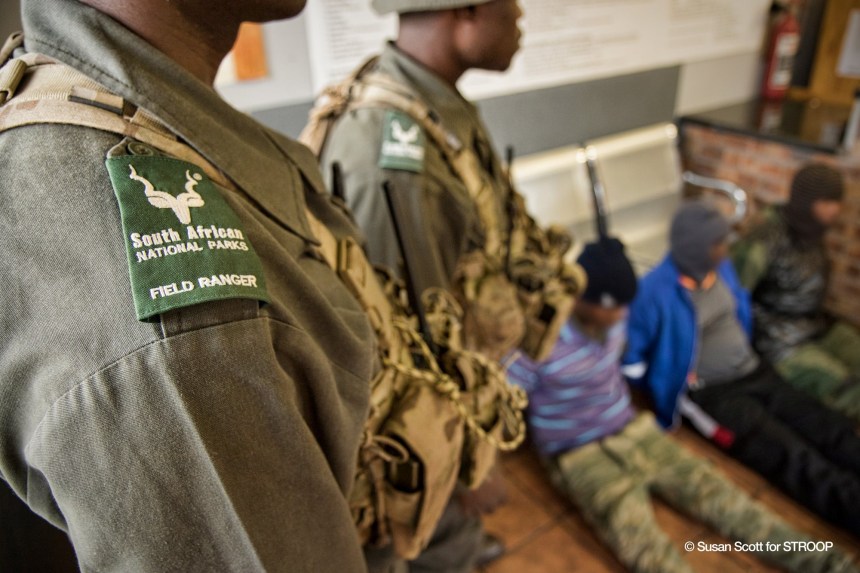 Stroop poachers arrested by SANParks anti-poaching rangers